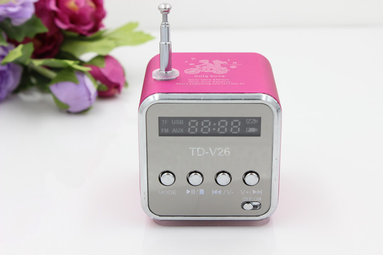 TD-V26 Portable Mini Bluetooth Speaker with Screen, Radio, MP3 Player, Speaker Card Slot