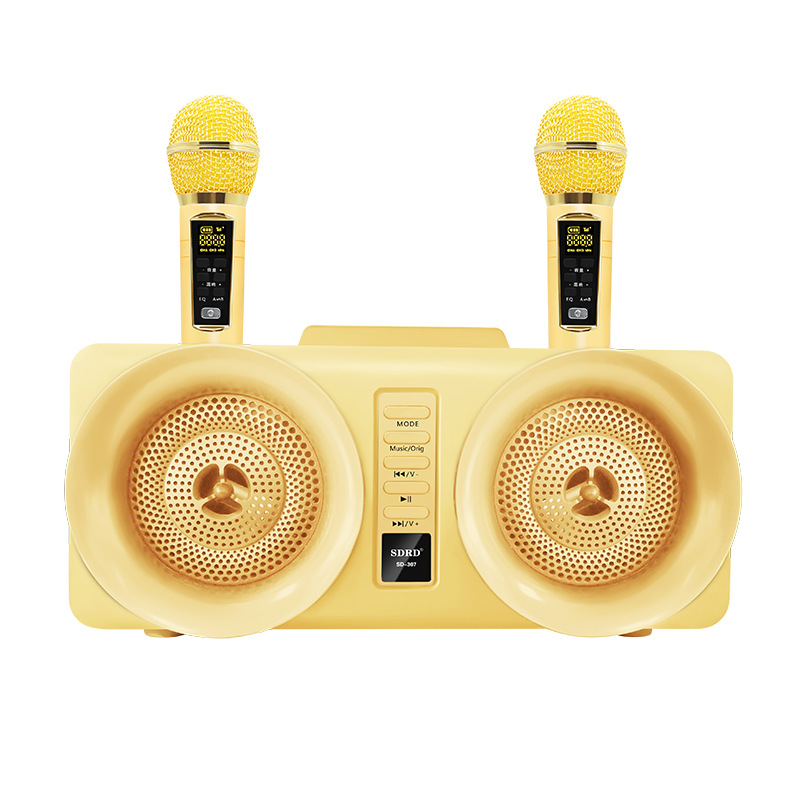 SD307 Home Karaoke Machine Bluetooth Speaker Dual Wireless Microphone Connect TV National K Song Support Wireless Recording