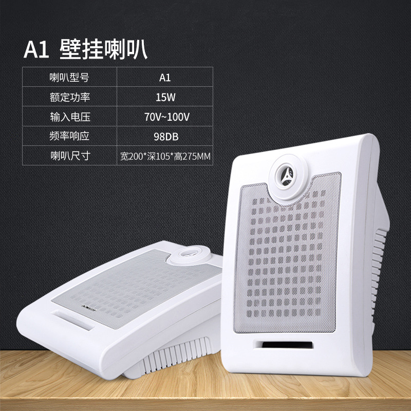 基础版壁挂音箱 A1  15W