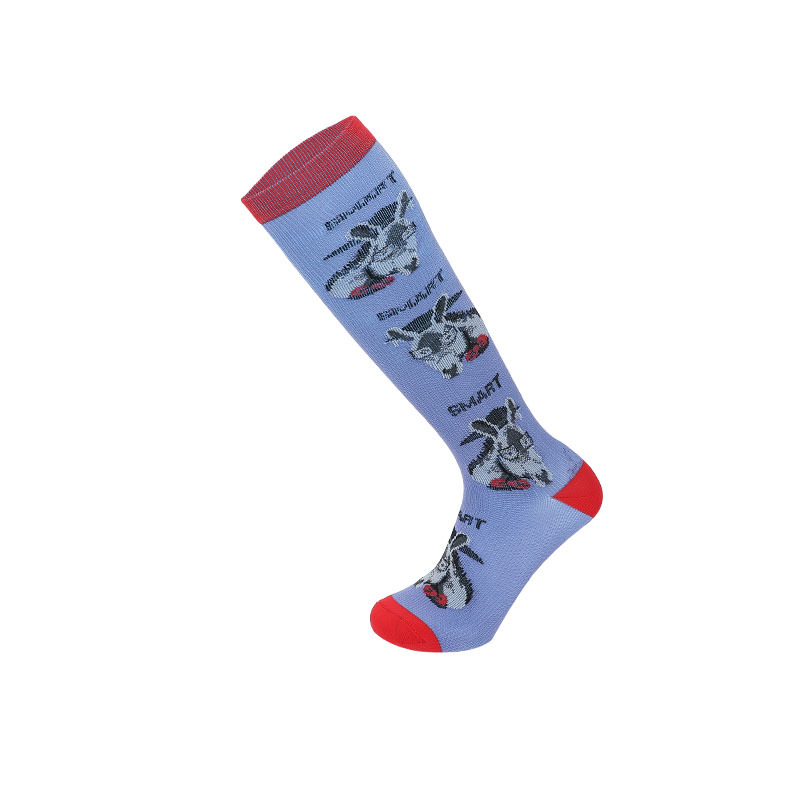 Socks, men's animal rainbow spring and autumn new sports socks, winter men's knee-high socks, casual sports cartoon socks