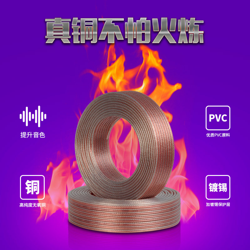 SAST/SAST 01 professional audio cable speaker wire oxygen-free speaker amplifier connection wire 100 meters per roll