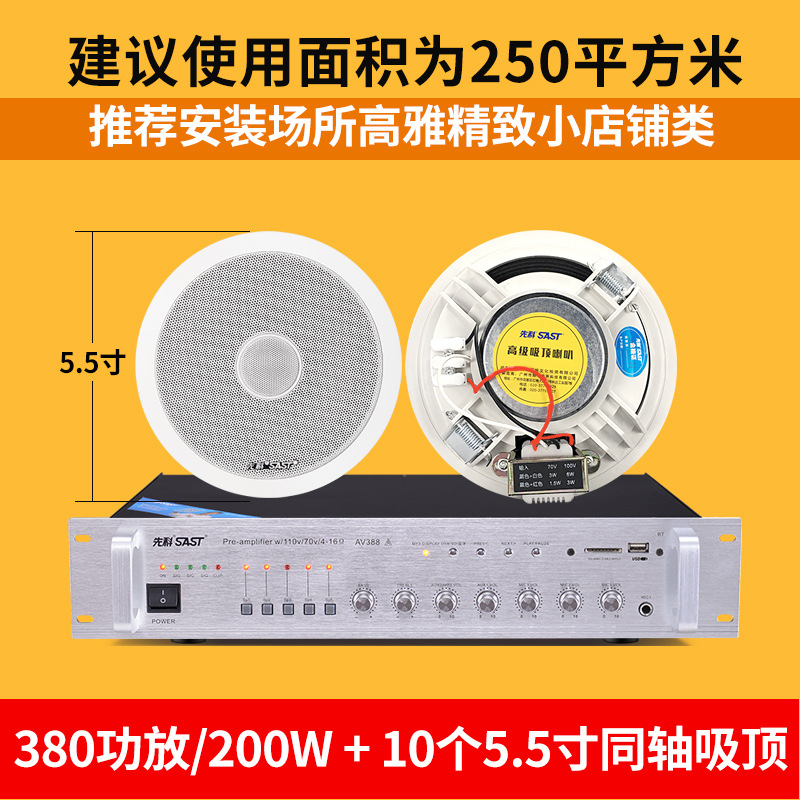 布线款-10个5.5寸同轴+功放套装