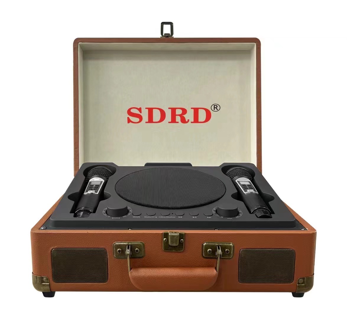 SD2109 Bluetooth Speaker Wireless Microphone Microphone Singing All-in-One Handheld Outdoor Portable K Song