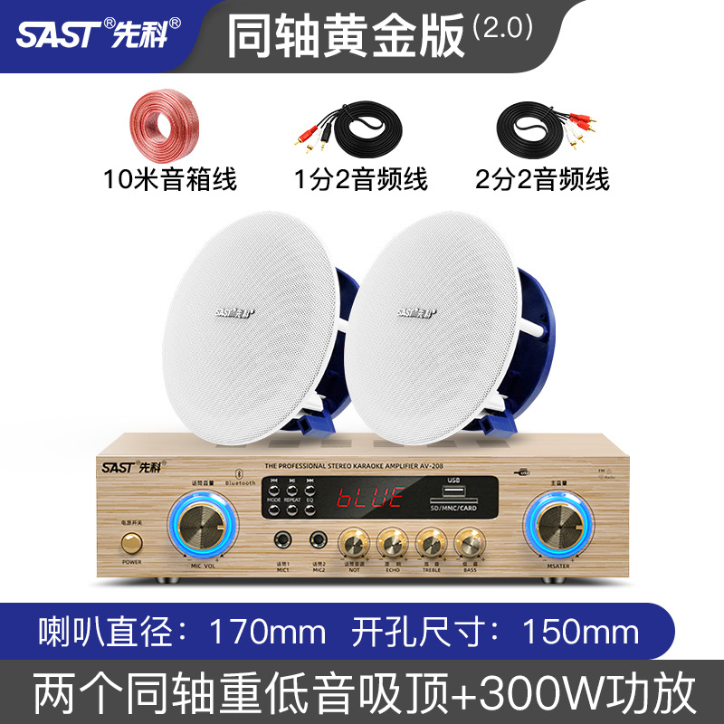 SAST 5.1 home theater audio living room ceiling 3D surround stereo embedded subwoofer amplifier ceiling set