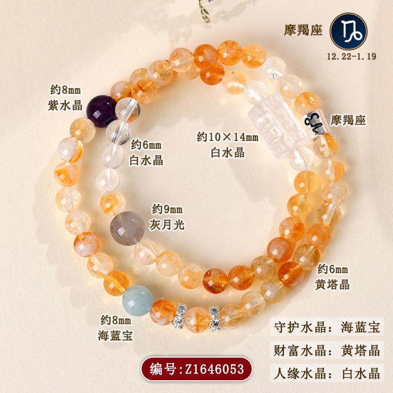 Z1646【摩羯座】12.22-1.19