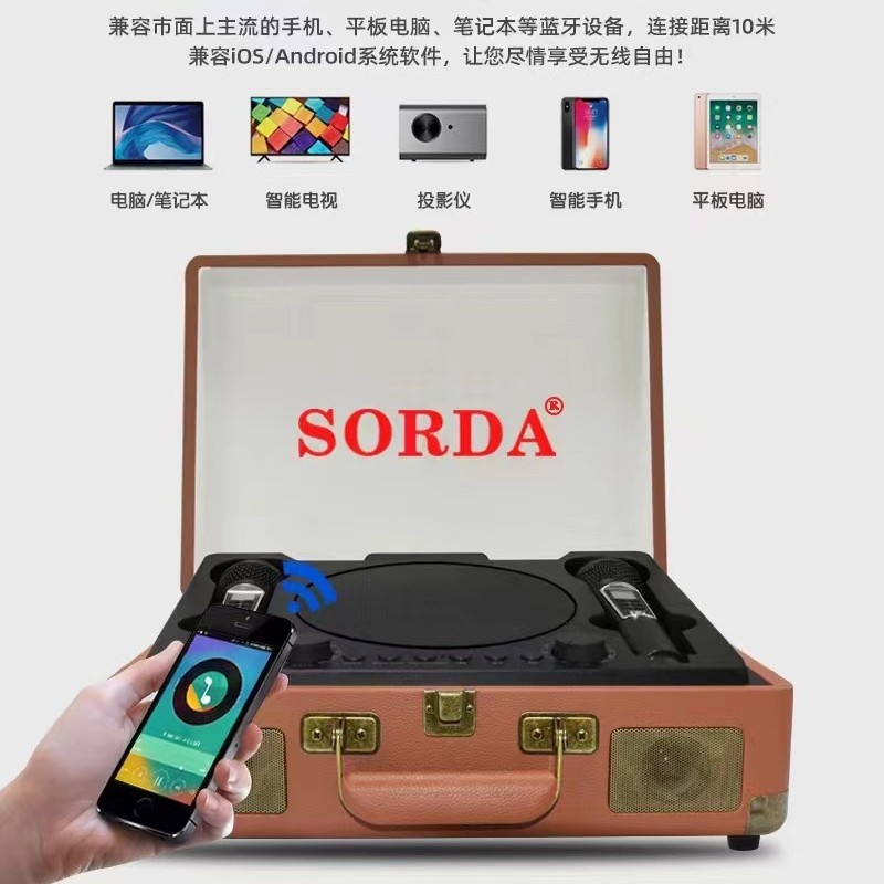 SD2109 Bluetooth Speaker Wireless Microphone Microphone Singing All-in-One Handheld Outdoor Portable K Song