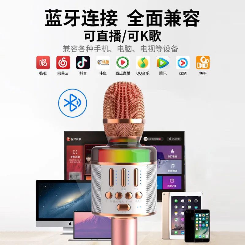 Pidianchong X3Pro microphone integrated mobile phone national K song singing home wireless microphone children