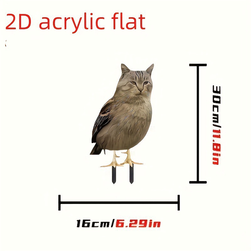31_30*30*0.2cm