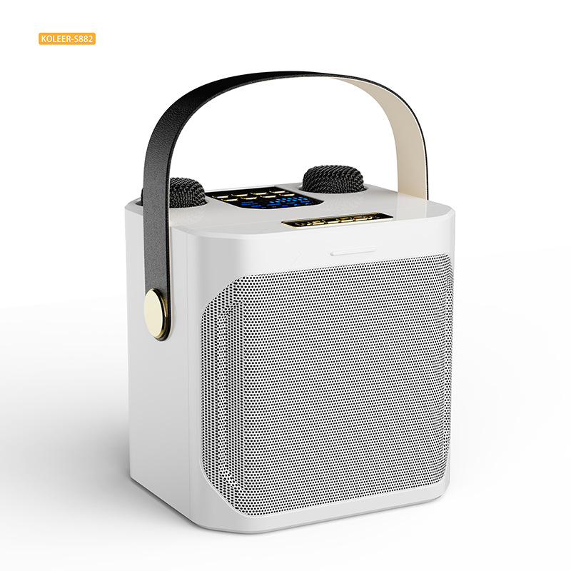 Double Person Karaoke Handle Speaker S882 Family Party Outdoor Dinner Portable Direct Hair