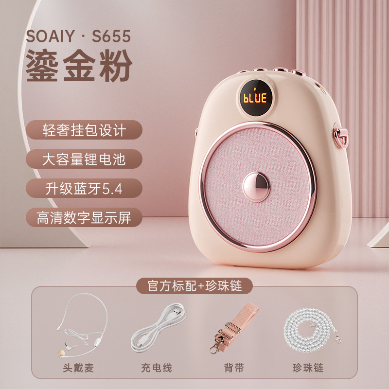 SOAIY S655 Mini Amplifier for Teachers Special Microphone Teacher Class Lecture Tour Guide Headset
