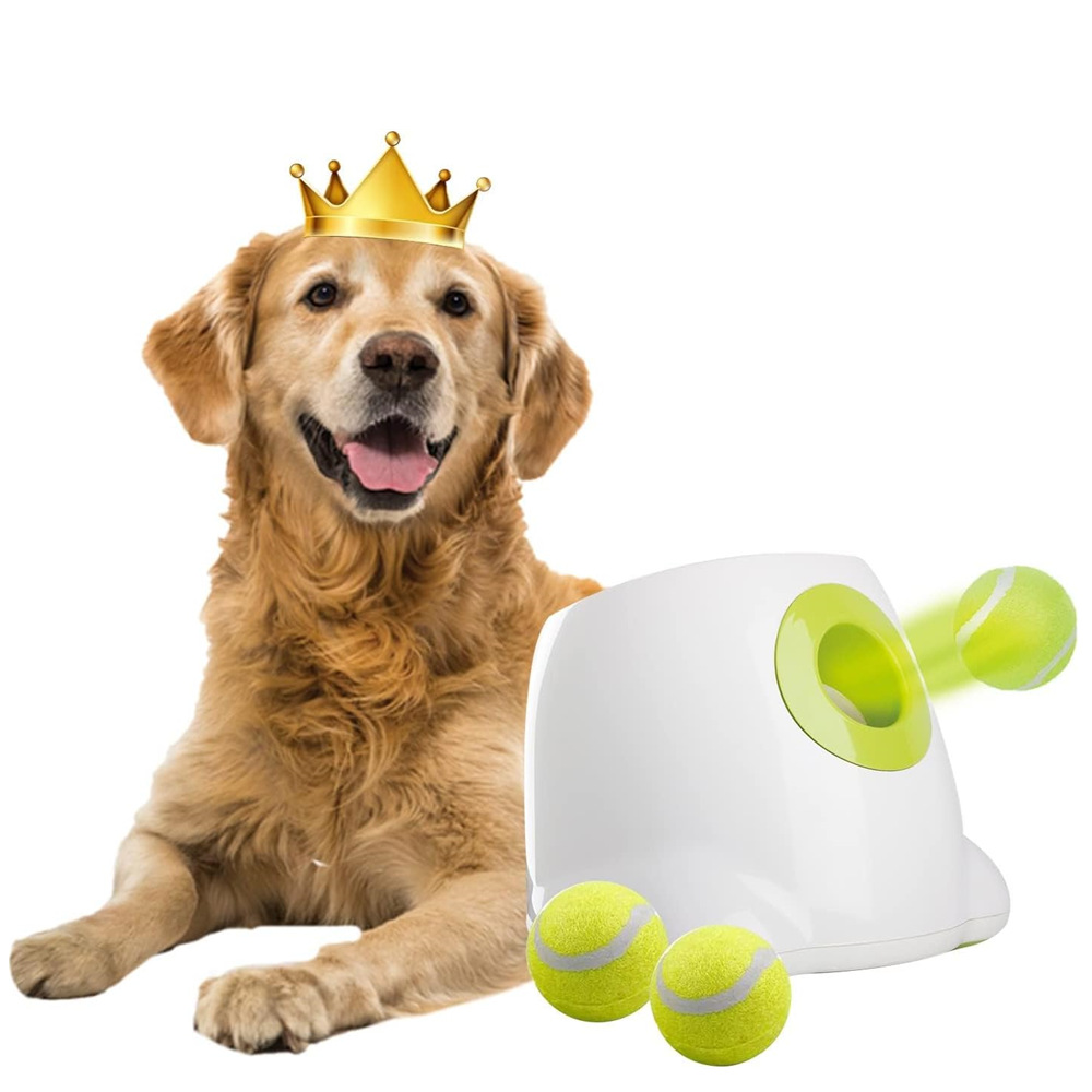 AFP Large Dog Automatic Ball Launcher for Big Dogs 6.5cm Tennis Ball Thrower Pet Indoor Outdoor Training