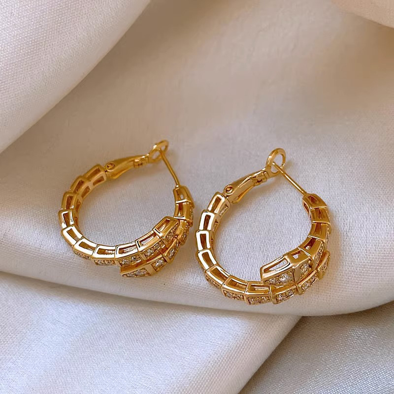 Snake Shape Zircon Earrings Ear Studs 2023 New Earrings for Women