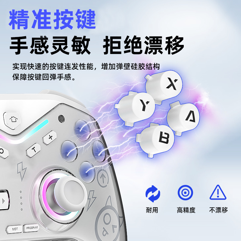 Switch Controller Black Myth Wukong NS Dual Hall Joystick RGB Light Vibration Six-Axis Macro Programming Private Mold