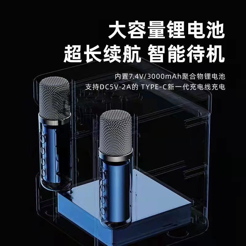 Home K歌 YS203 Bluetooth Speaker Wireless Microphone All-in-One KTV Wireless Microphone 203 Bluetooth Speaker