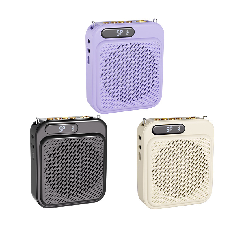 New Dual Mic Teacher Teaching Bee Amplifier Plug-in Card U Disk Bluetooth Player Tour Guide Loudspeaker