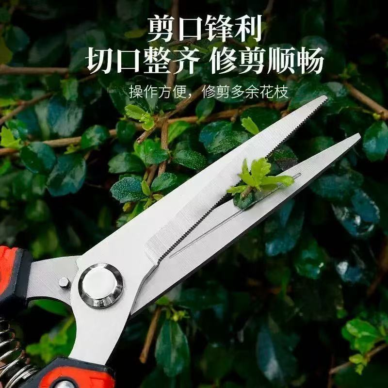 Garden pruning shears picking fruit tree branch bonsai tool scissors fruit picking shears