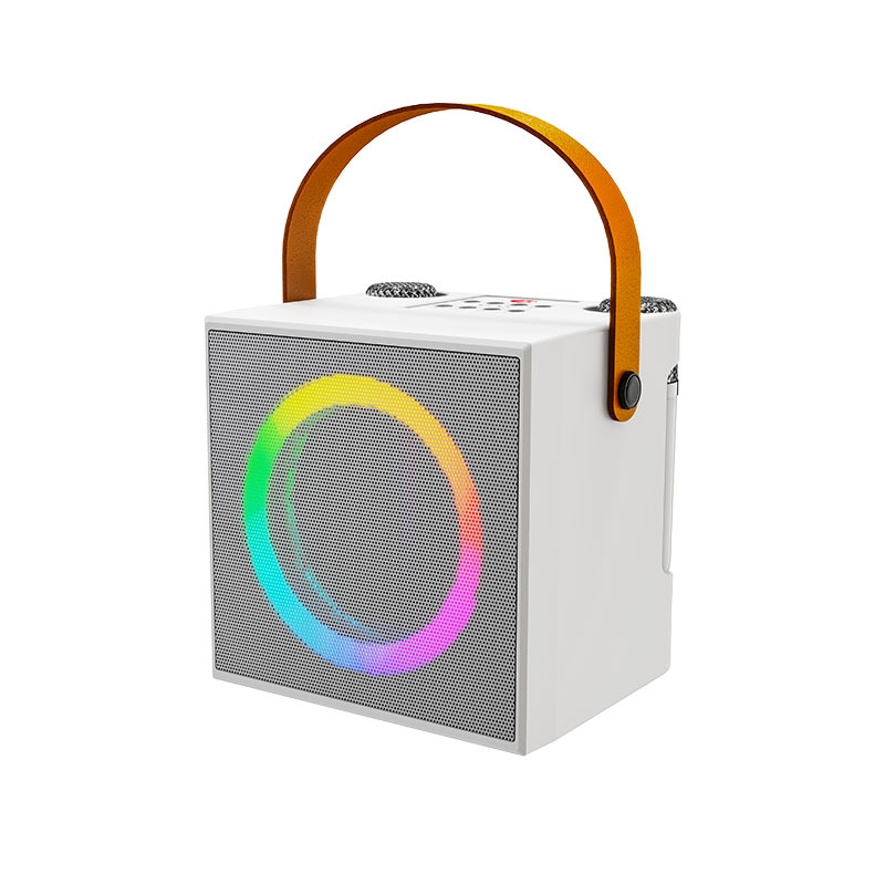 Bluetooth speaker with microphone all-in-one portable Bluetooth speaker 203 home KTV audio