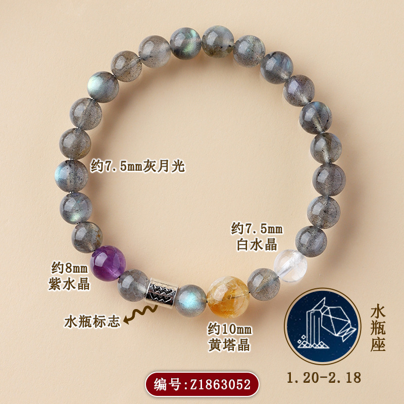 Z1863【水瓶座】1.20-2.18