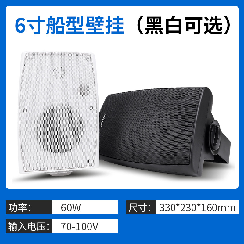 至尊版壁挂音箱 P60 6.5寸 40W
