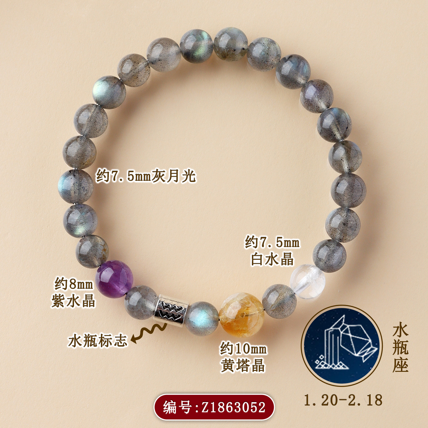Z1863【水瓶座】1.20-2.18