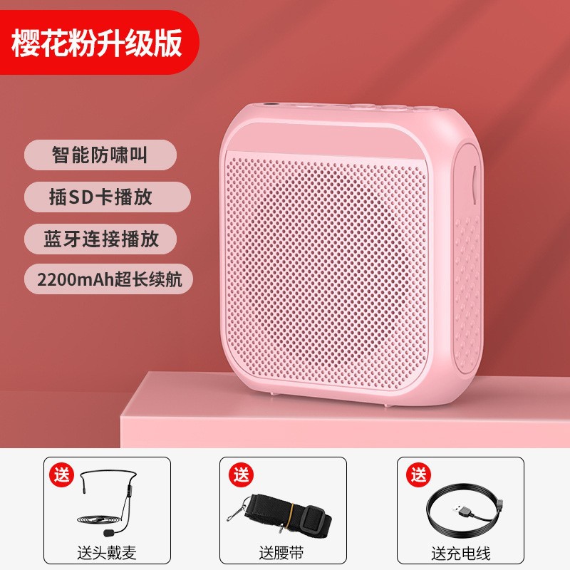 Noboxin S17 Bee Amplifier for Teacher Teaching, Tour Guide, Shopping Mall Waist-hanging Portable Sales Speaker Player
