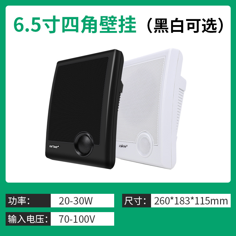 基础版壁挂音箱 A2  黑/白可选