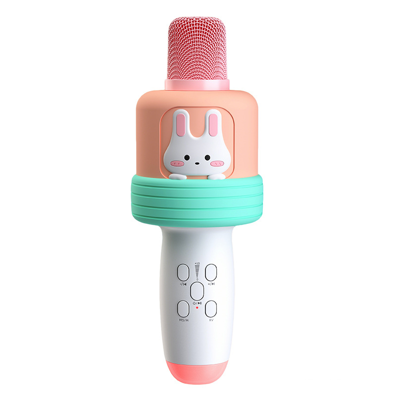 Wireless Microphone Speaker All-in-One Mobile Live Streaming Bluetooth Singing Special Support Customization