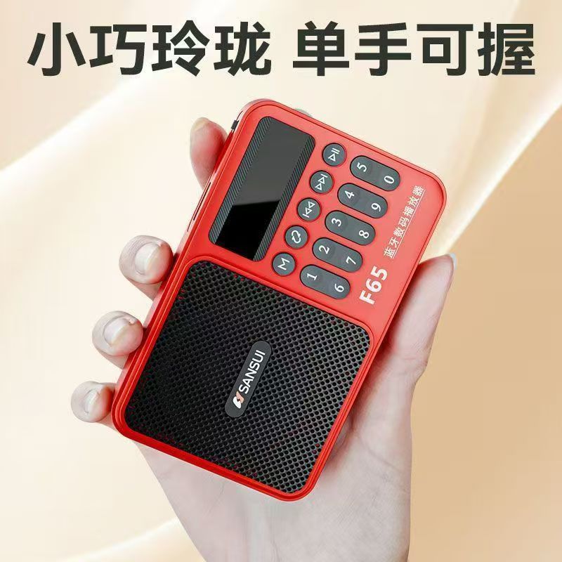 Shanshui F65 Plug-in Bluetooth Radio TF Card U Disk Radio for Elderly Portable Player