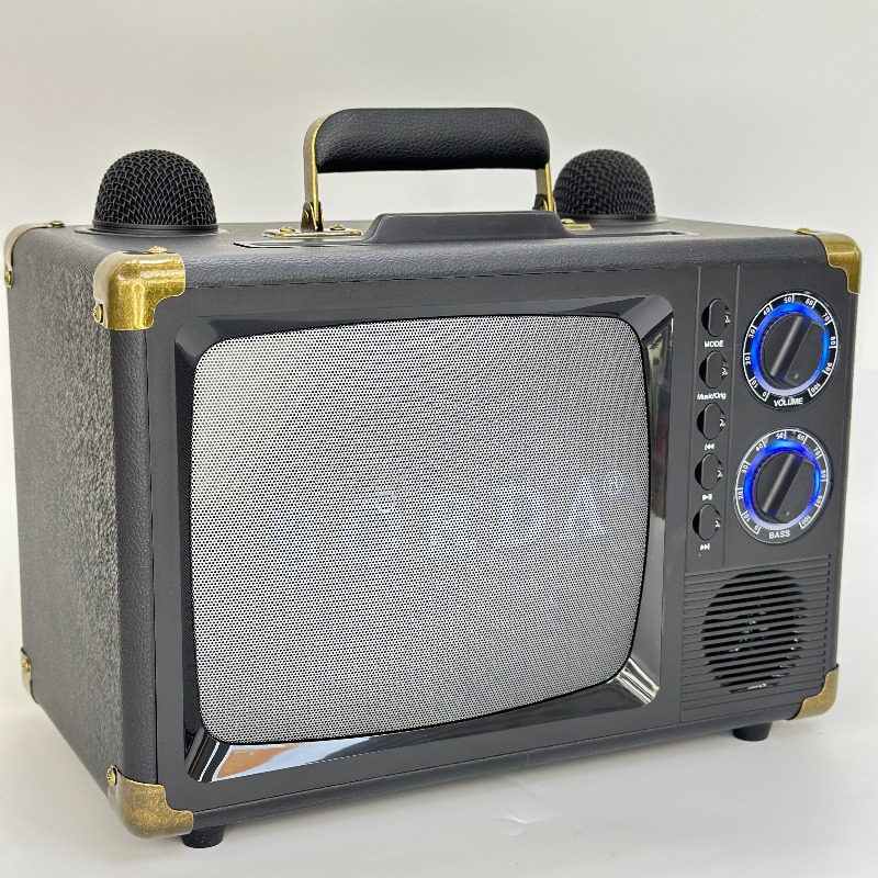 New SD2107 Portable High Power Outdoor Karaoke Machine Wireless Dual Mic Bluetooth Speaker Home Children Singing KTV