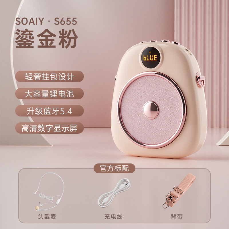 SOAIY S655 Mini Amplifier for Teachers Special Microphone Teacher Class Lecture Tour Guide Headset