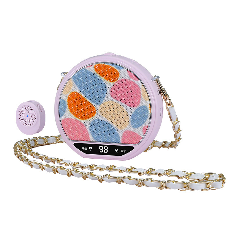New Little Bee Amplifier for Teachers, Lecturers, with Wireless Magnetic Clip-on Lapel Microphone