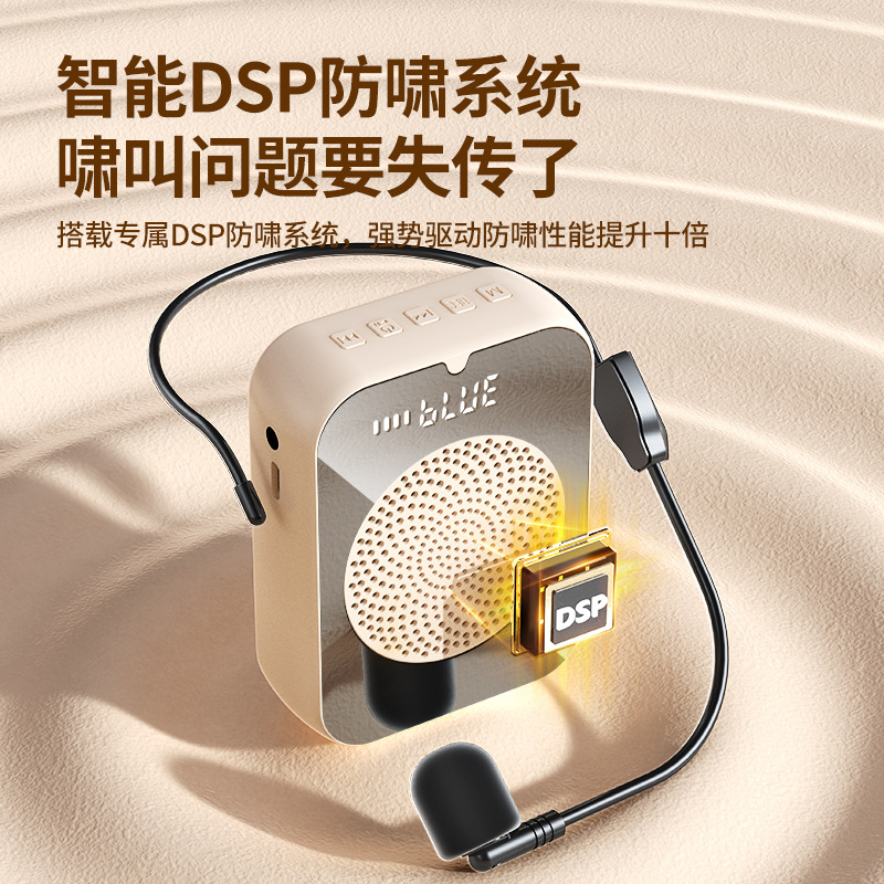 Little Bee Amplifier Teacher Special Speaker Wireless Microphone Headset for Teaching Tour Guide Announcer