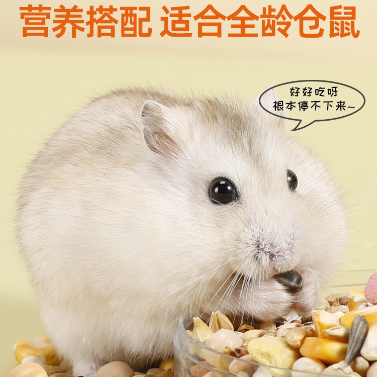 Hamster Food, Syrian Hamster Nutritious Main Feed, Mealworms, Seafood, Mixed Grains, Complete Pet Supplies, Snacks