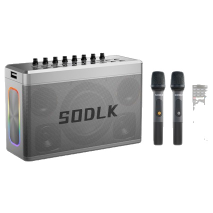 Shenlaike S1128 Digital Sound Card Bluetooth Speaker Outdoor High Power Square Dance Audio Portable Speaker