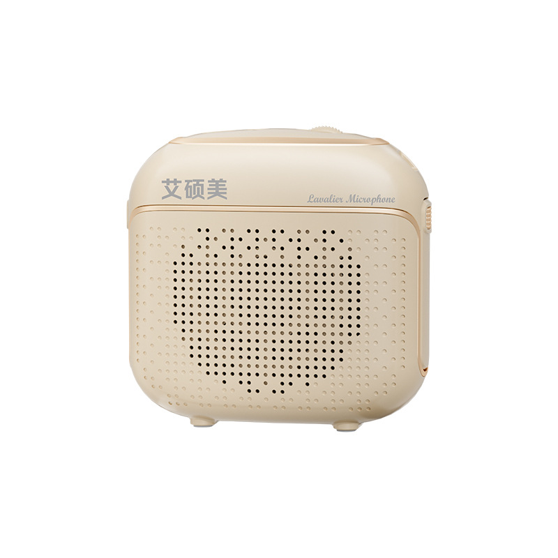Aishuomei New K29 Small Bee Wireless Lapel Dual Mic Amplifier for Teacher Special Tour Guide