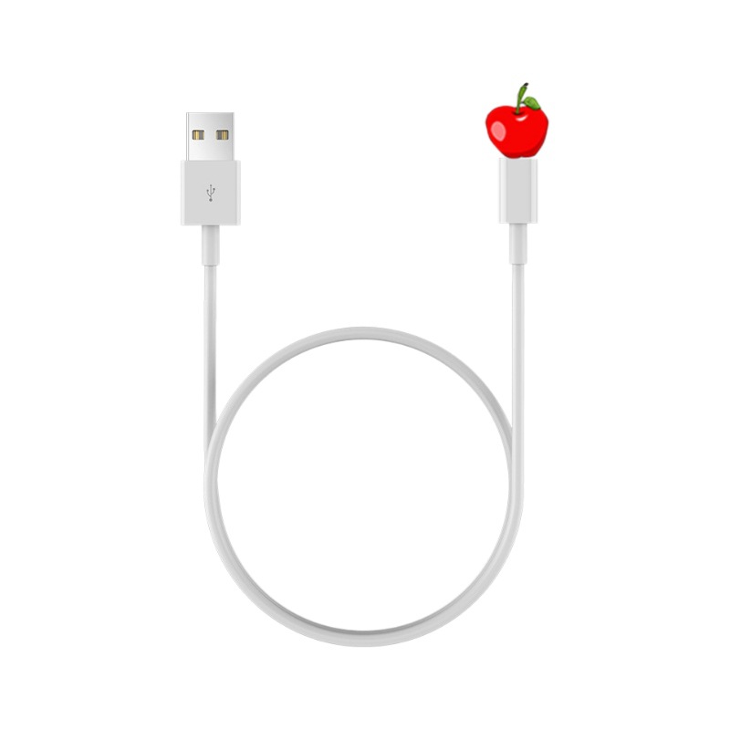 Original 2.1A USB Fast Charging Cable for iPhone 11