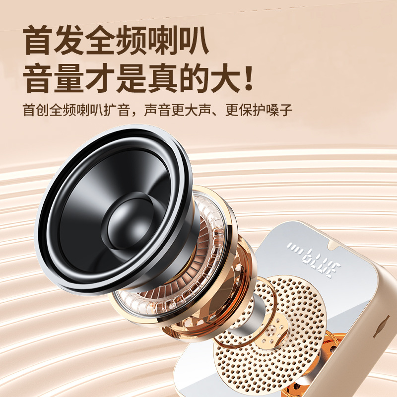 Little Bee Amplifier Teacher Special Speaker Wireless Microphone Headset for Teaching Tour Guide Announcer