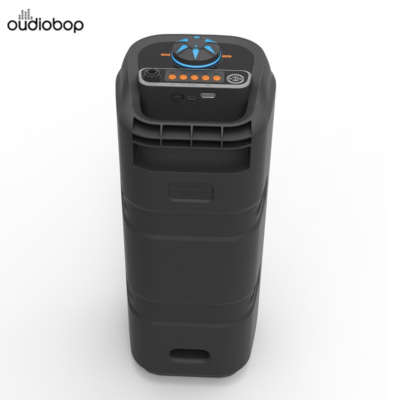 Mobile Multimedia Bluetooth Speaker with RGB, USB, BT, FM