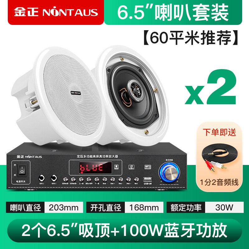 100瓦蓝牙功放+6.5寸同轴喇叭*2