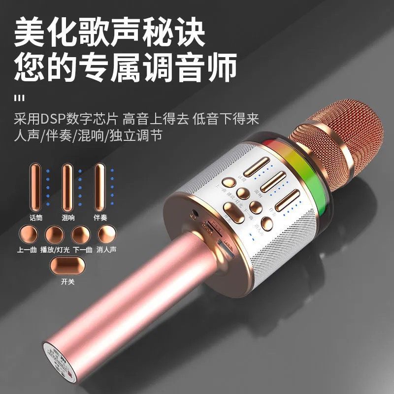 Pidianchong X3Pro microphone integrated mobile phone national K song singing home wireless microphone children