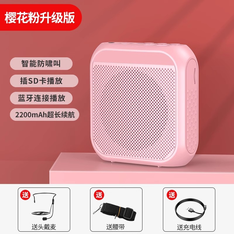 S17 Amplifier Teacher Special High Volume Speaker Bluetooth Portable for Sales