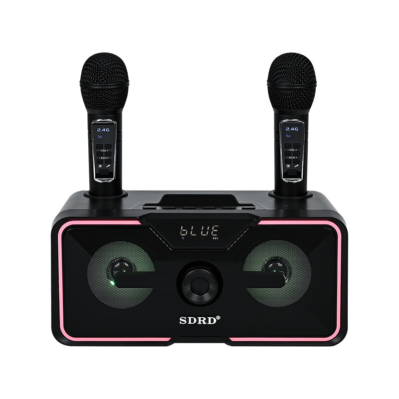 SD-215 Bluetooth Audio Wireless Karaoke Microphone Home KTV Speaker All-in-One Dual Mic RGB Light