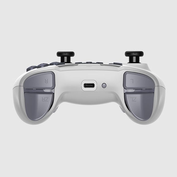 Switch Pro Game Controller RGB Vibration Wake-up Motion Control Joystick Micro Bluetooth Motion Control Elite Level