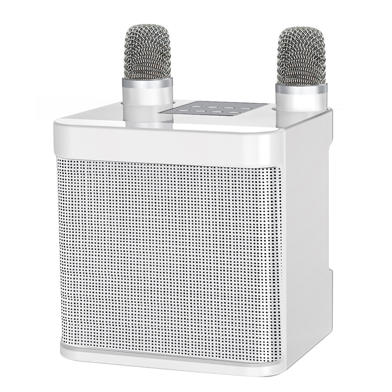 Premium Wireless Bluetooth Outdoor KTV Home Entertainment Good Sound Quality Voice Changer KTV Speaker
