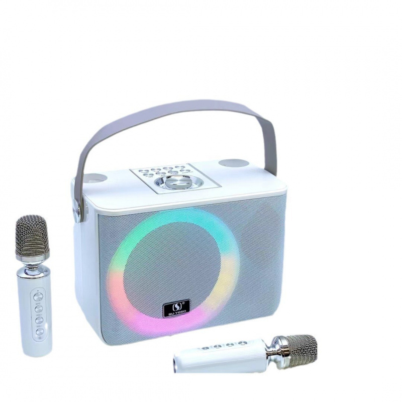 YS226 New Wireless Bluetooth Speaker Subwoofer Dual Microphone KTV Sound System Home Outdoor All-in-One