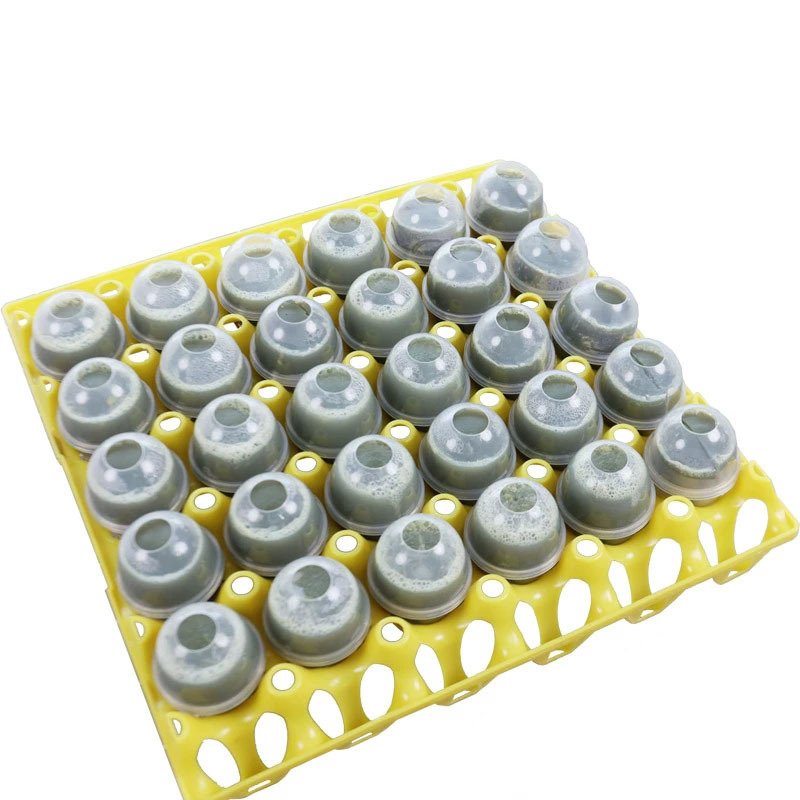 Stone egg mold plastic non-leaking non-stick high temperature aging resistant food grade steamed egg shell solid