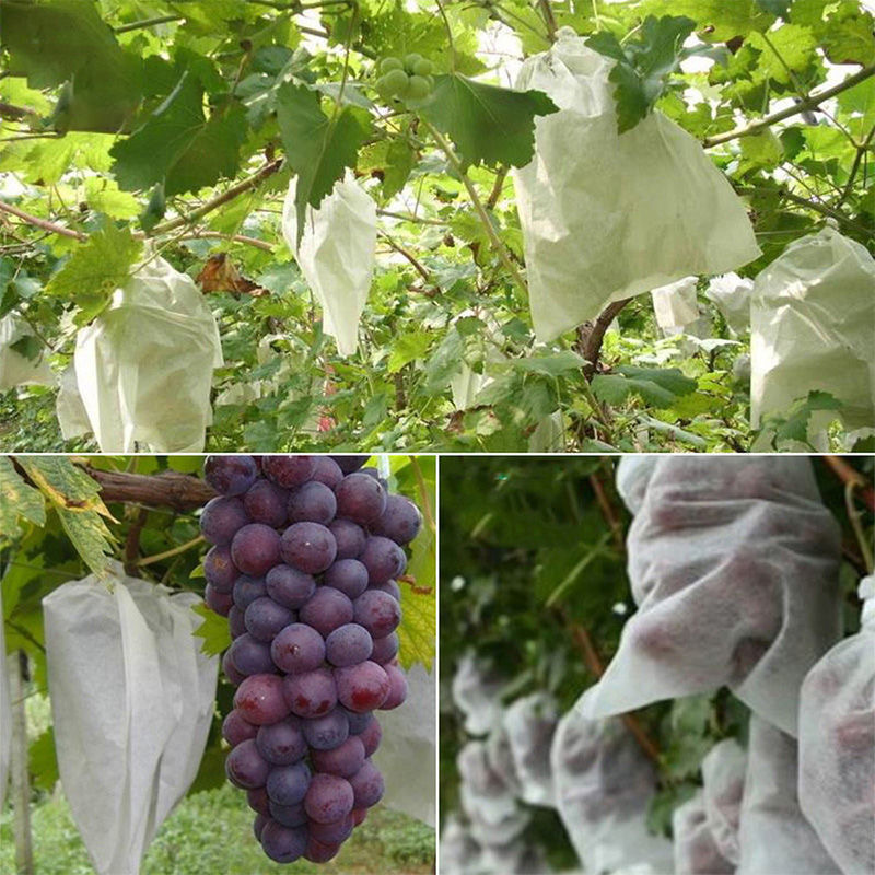 Outdoor binding wire non-woven grape bag pomelo pear fruit protection bag insect-proof bird-proof rain-proof fruit bag