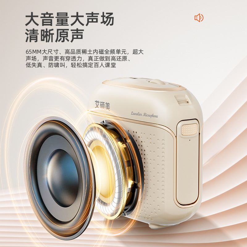Aishuomei New K29 Small Bee Wireless Lapel Dual Mic Amplifier for Teacher Special Tour Guide