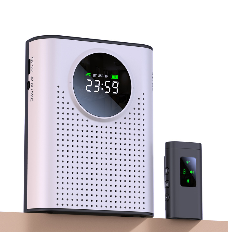 New Amplifier Bee Wireless Microphone for Teachers Tour Guides Outdoor Bluetooth No Howling Speaker
