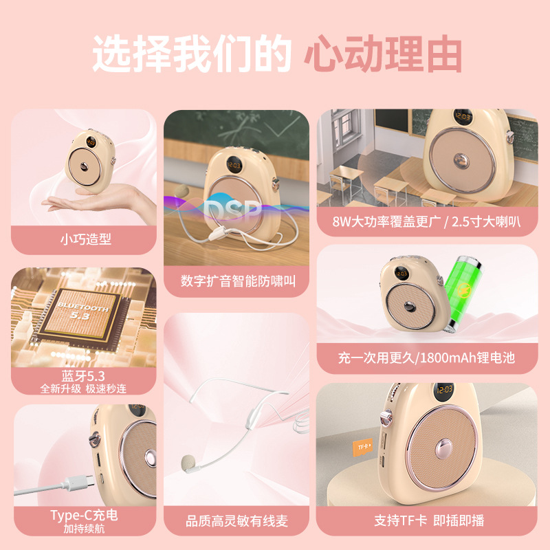 SOAIY S655 Mini Amplifier for Teachers Special Microphone Teacher Class Lecture Tour Guide Headset